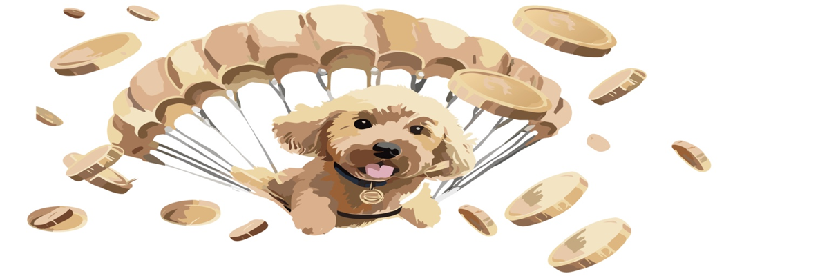 TownieDoodle Banner